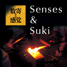 Senses and Suki