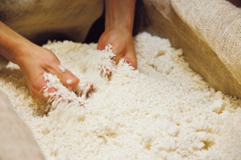 Adding mold spores to steamed rice to make koji