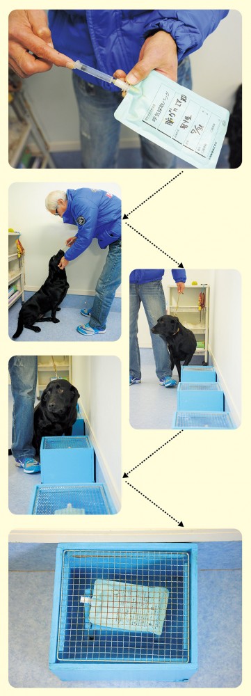 Experiment setup for dog cancer detection