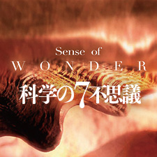 Sense of Wonder
