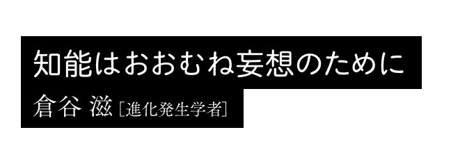 知能はおおむね妄想のために