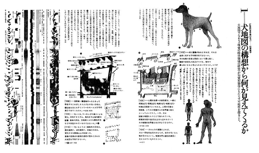 犬地図